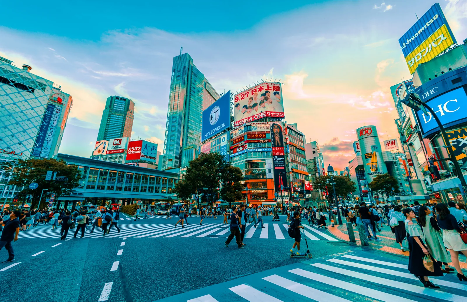 Japan The Cities - Tokyo street crossing at dusk